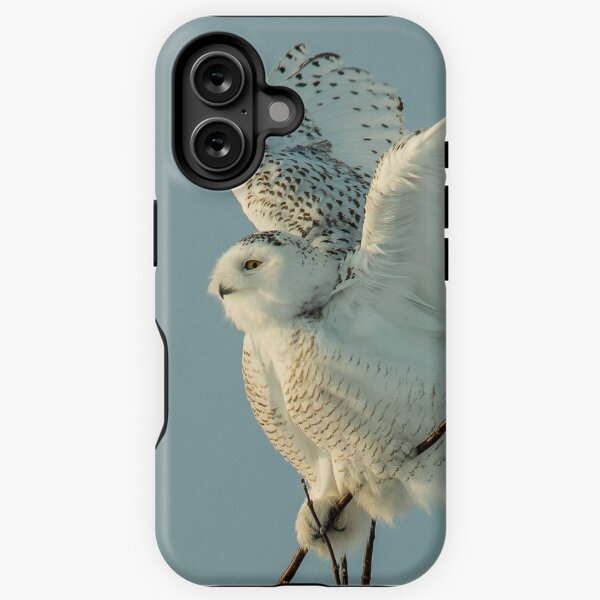Item preview, juvenile male snowy owl designed and sold by AlRobinson.