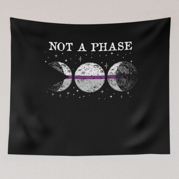 Artikelvorschau, Funny Demisexual Pride Flag Not A Pahse entworfen und verkauft von brightgift.