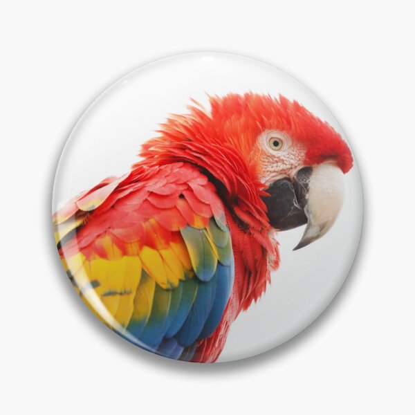 Item preview, Parrot with amazing colors designed and sold by Bestdesigns-rs.
