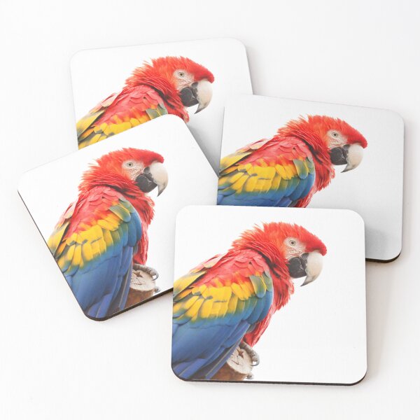 Item preview, Parrot with amazing colors designed and sold by Bestdesigns-rs.