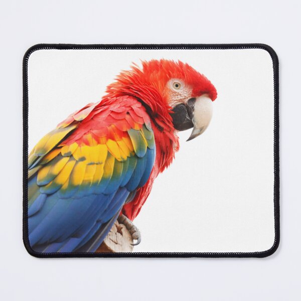 Item preview, Parrot with amazing colors designed and sold by Bestdesigns-rs.