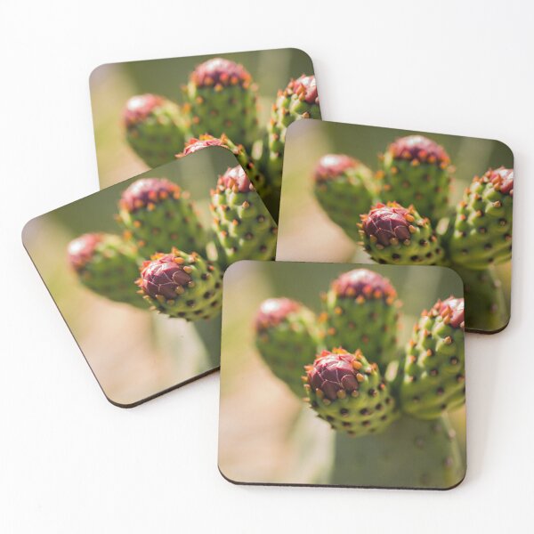 Item preview, Prickly Pear Cactus Buds designed and sold by amydaggett.
