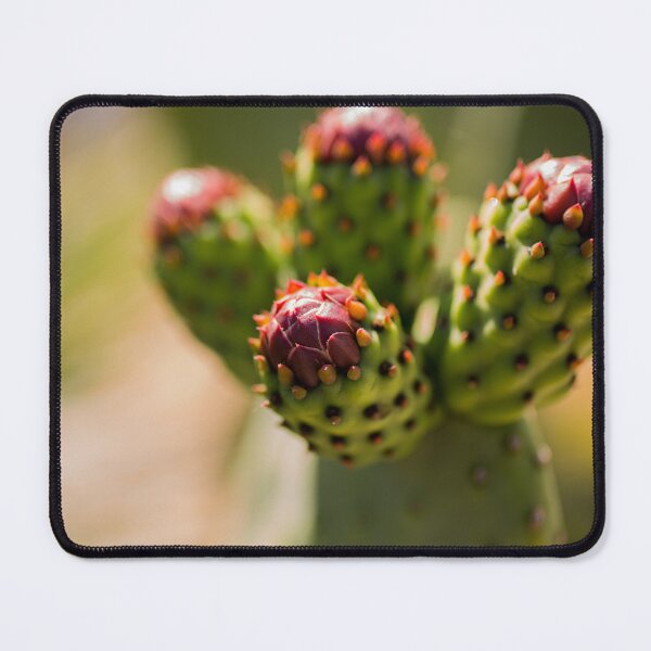 Item preview, Prickly Pear Cactus Buds designed and sold by amydaggett.