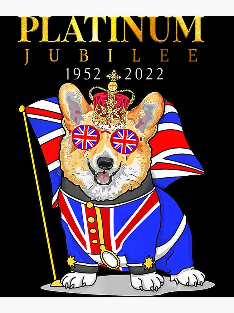 Queen Elizabeth II's Last Flight Is The Most Tracked In History - Foto 9