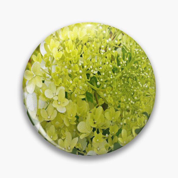 Item preview, Elegant Chartreuse Limelight Hydrangea on Green designed and sold by myrubiogarden.