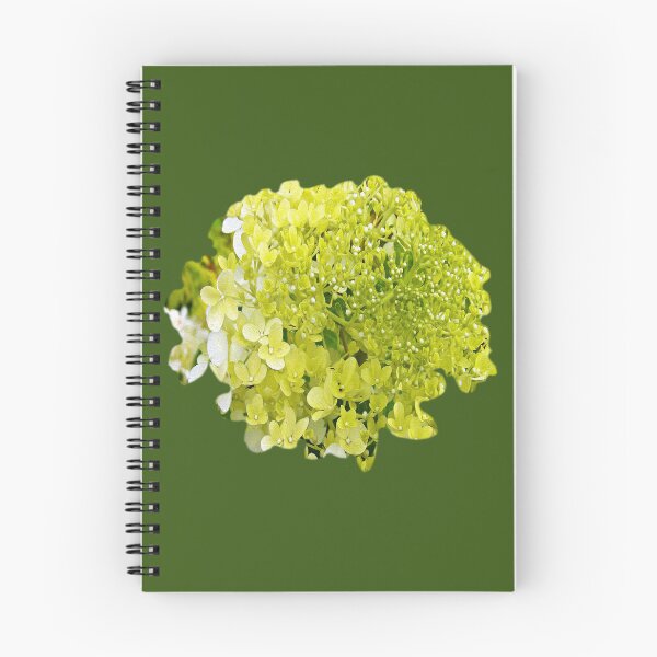 Aperçu de l'œuvre Élégant Hortensia Chartreuse Limelight sur vert créée et vendue par myrubiogarden.