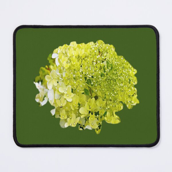 Item preview, Elegant Chartreuse Limelight Hydrangea on Green designed and sold by myrubiogarden.