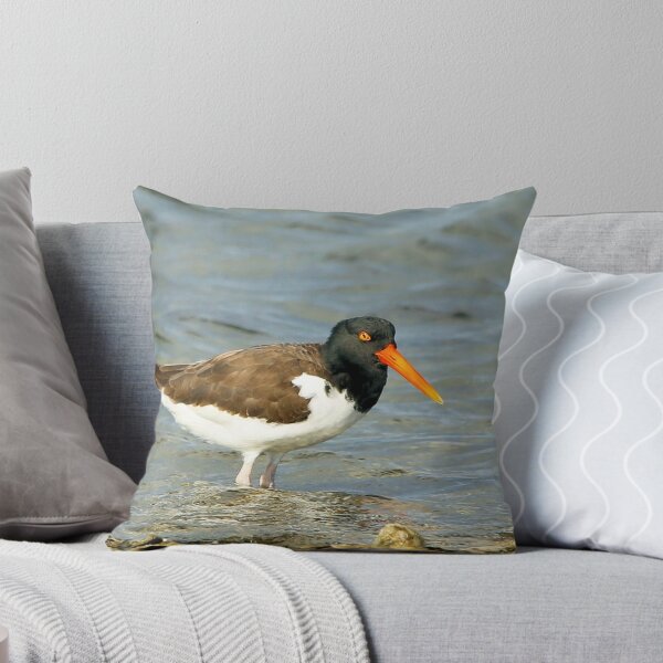 Item preview, Oyster Catcher designed and sold by SuddenJim.