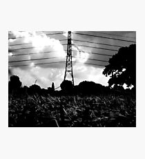 wire-stave Photographic Print