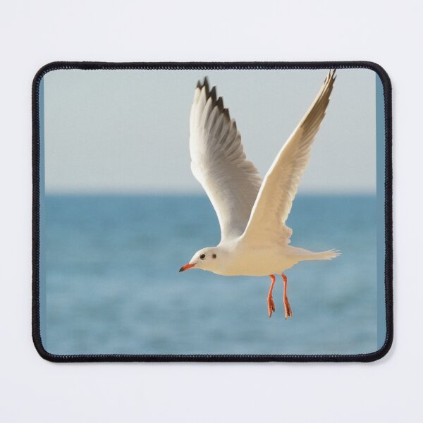 Item preview, Lovely Flying Tern Seagull ~ Sea Shore Ocean Bird designed and sold by bayberrygal.