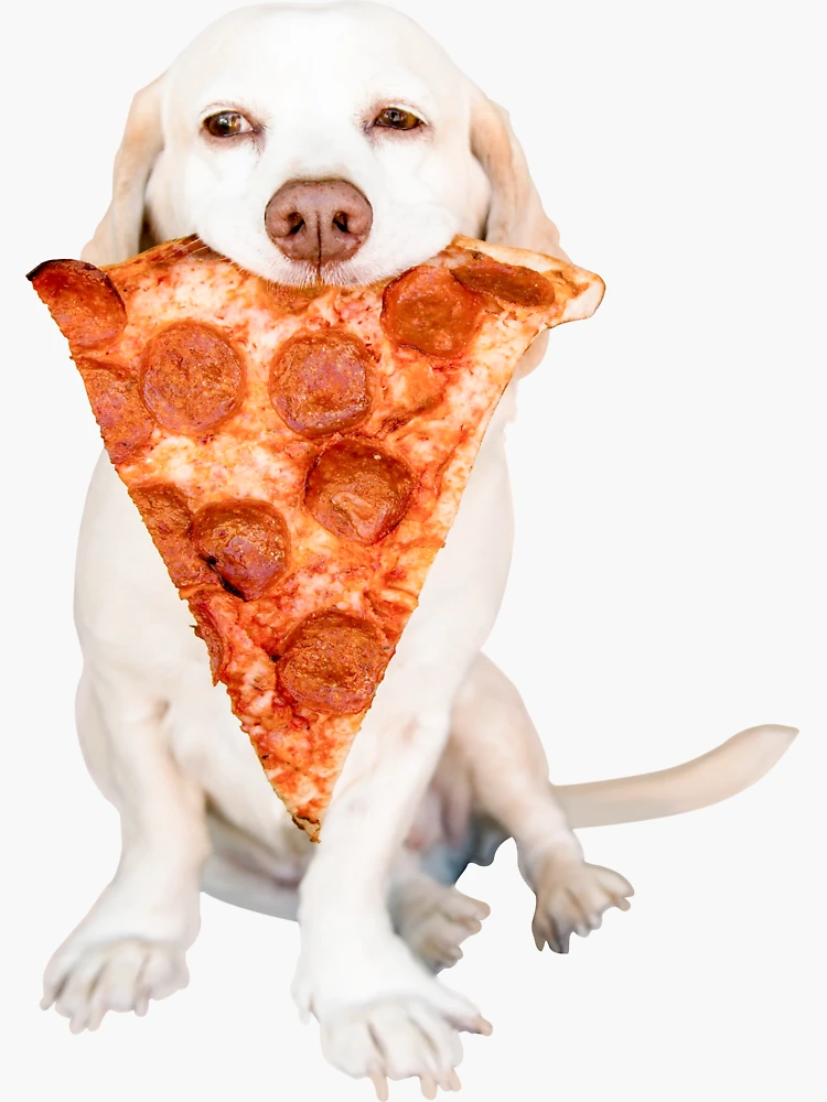 Dog ate hot sale pizza