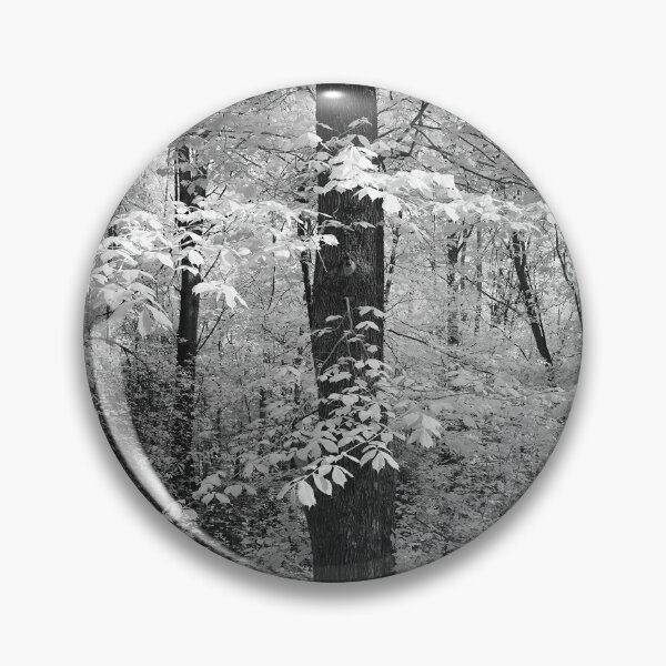 Item preview, Wych elm dressed in white. Infrared bw photography designed and sold by Jouko Lehto Photography.