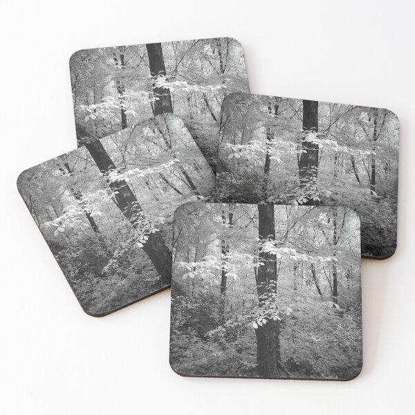 Item preview, Wych elm dressed in white. Infrared bw photography designed and sold by Jouko Lehto Photography.
