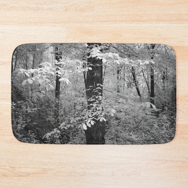 Item preview, Wych elm dressed in white. Infrared bw photography designed and sold by Jouko Lehto Photography.