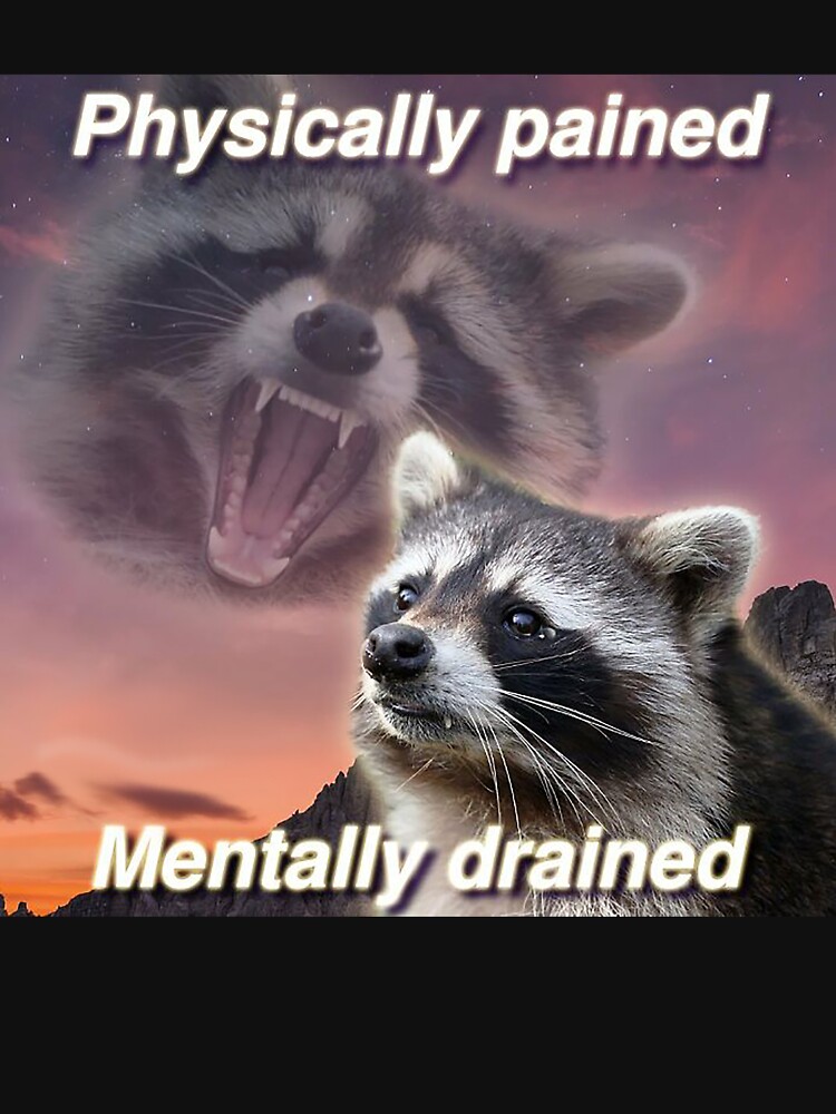 Physically Pained, Mentally Drained Raccoon Meme Sticker for Sale