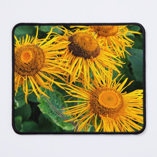 Item preview, Inula Sunflowers macro designed and sold by Violaman.