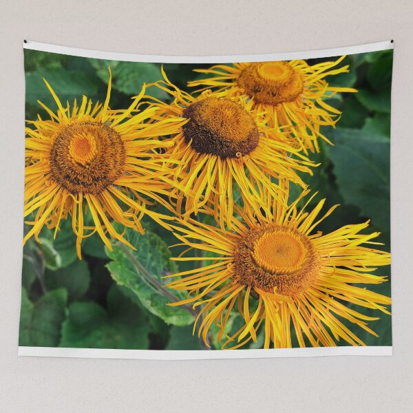 Item preview, Inula Sunflowers macro designed and sold by Violaman.