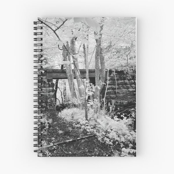 Item preview, The old railway bridge. Infrared bw photography designed and sold by Jouko Lehto Photography.