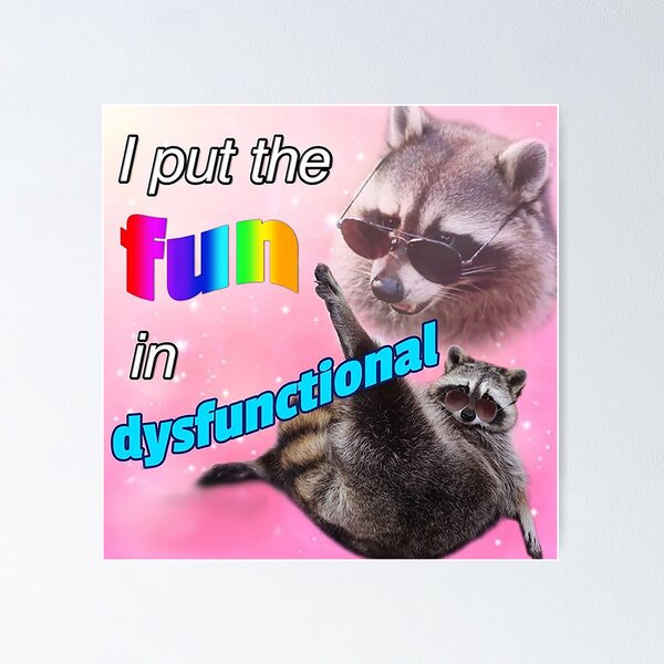 Item preview, Racoon Meme: I put the fun in dysfunctional designed and sold by Greg Heffley.