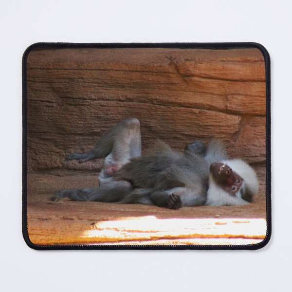 Item preview, Baboon Just Chillin designed and sold by Cynthia48.