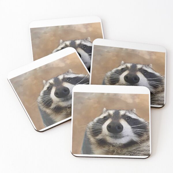 Item preview, Cute Racoon Meme designed and sold by Greg Heffley.