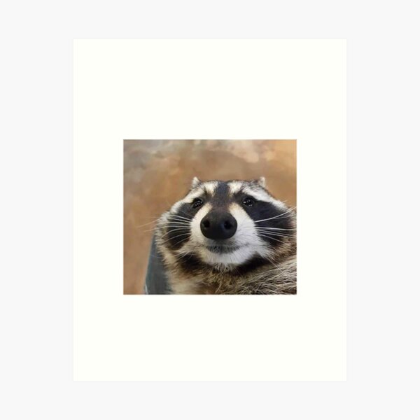 Item preview, Cute Racoon Meme designed and sold by Greg Heffley.