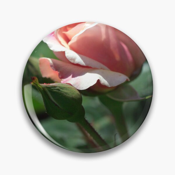 Item preview, Pink rose on nature background designed and sold by olena2552.