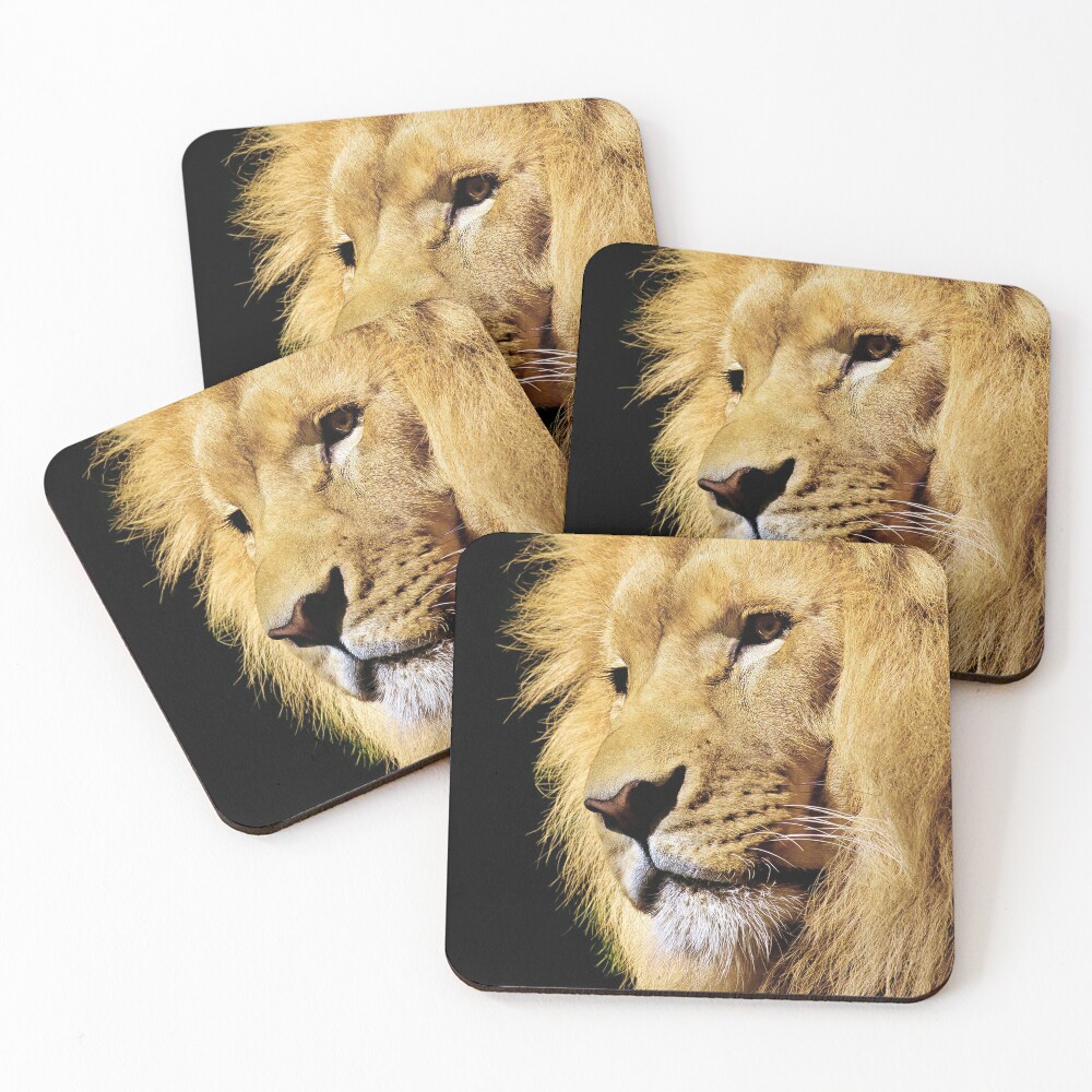 Item preview, Coasters (Set of 4) designed and sold by 92objects.