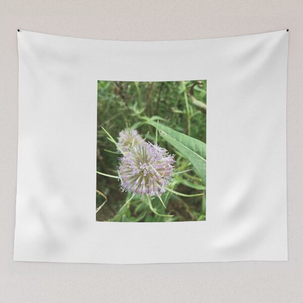 Item preview, Teasel 3 designed and sold by NimsNature.