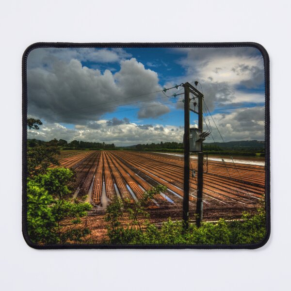 Item preview, Corbridge Field #1 designed and sold by axp7884.