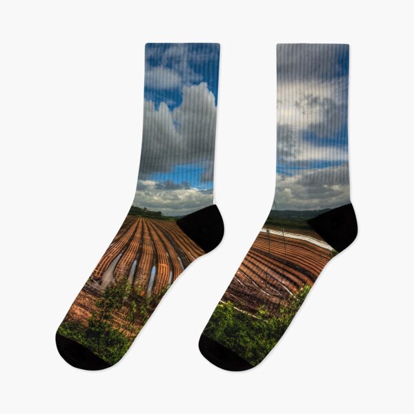 Item preview, Corbridge Field #1 designed and sold by axp7884.