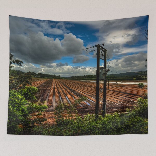 Item preview, Corbridge Field #1 designed and sold by axp7884.