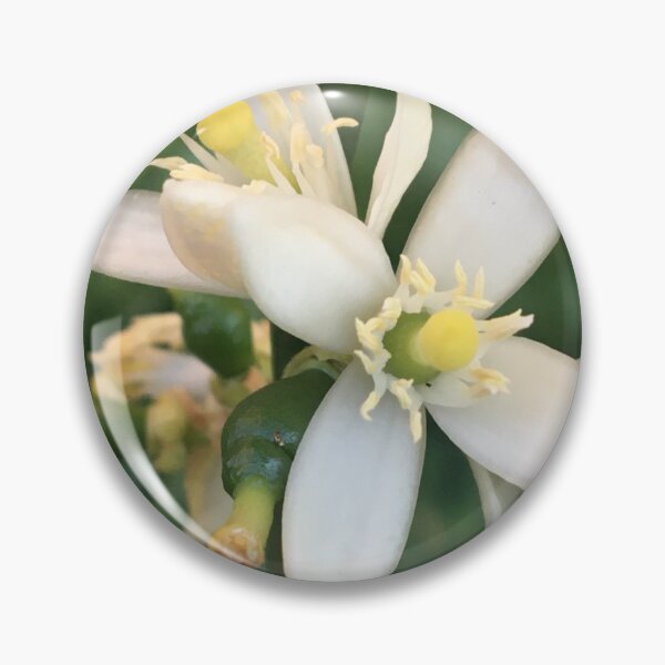 Item preview, Persian Lime Blossoms  designed and sold by NimsNature.