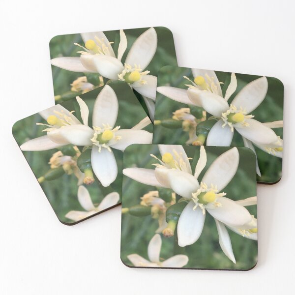 Item preview, Persian Lime Blossoms  designed and sold by NimsNature.