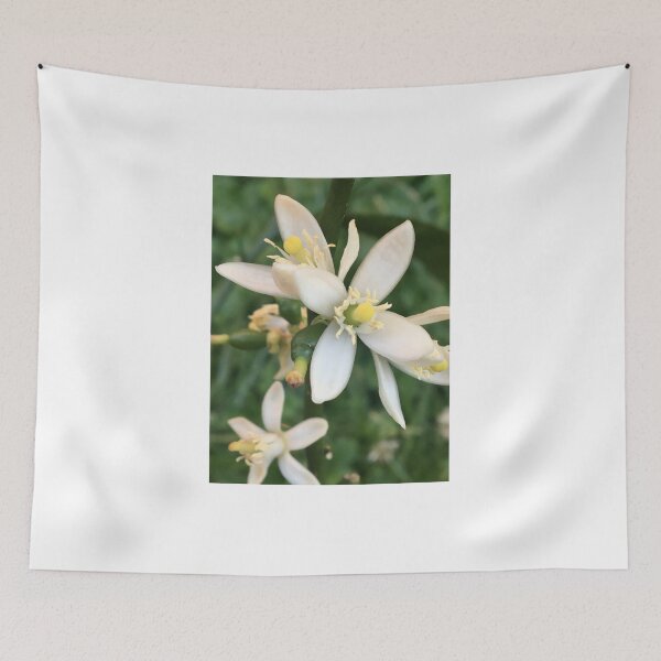 Item preview, Persian Lime Blossoms  designed and sold by NimsNature.