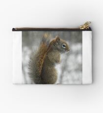 Bashful Studio Pouch