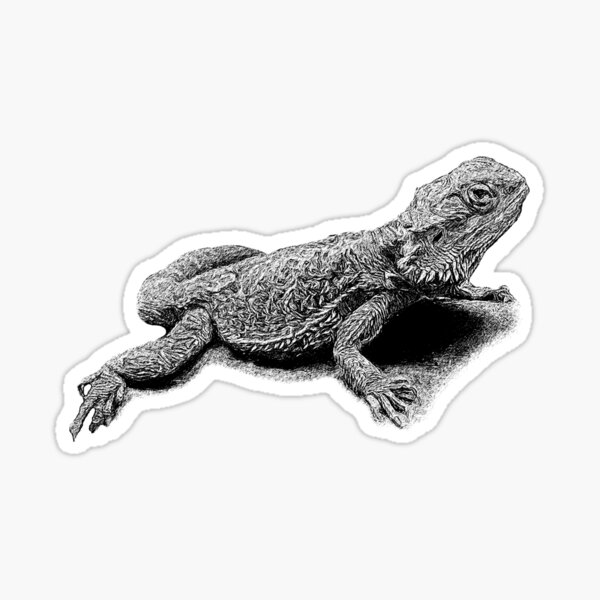 Item preview, Pogona designed and sold by Guardi71.