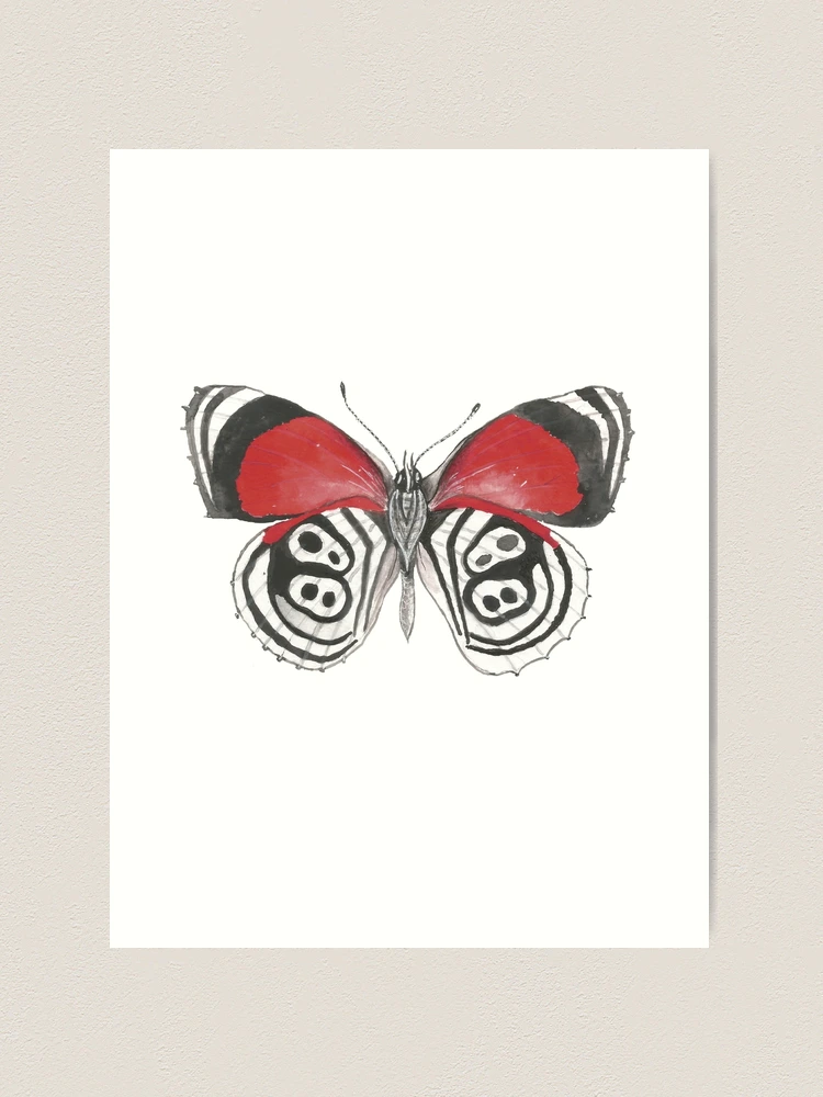 88 Butterfly