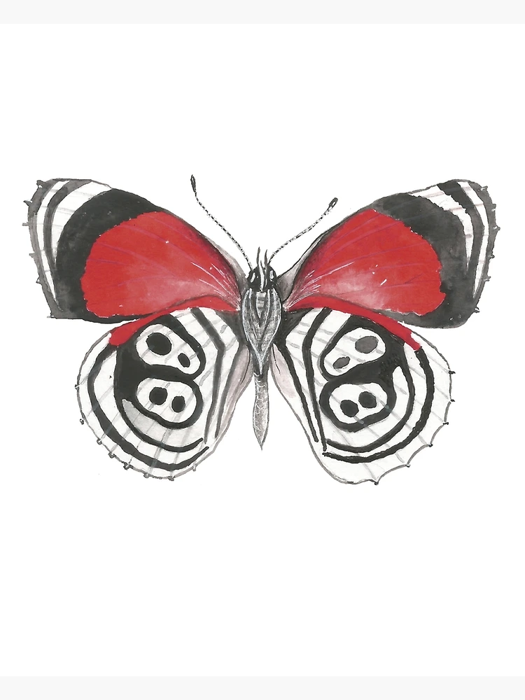 88 Butterfly