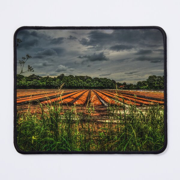 Item preview, Corbridge Field #2 designed and sold by axp7884.
