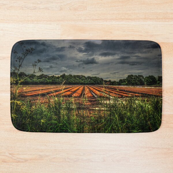 Item preview, Corbridge Field #2 designed and sold by axp7884.