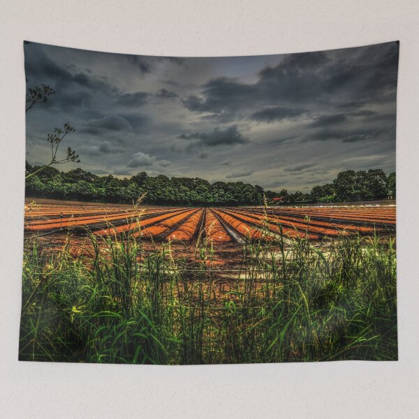 Item preview, Corbridge Field #2 designed and sold by axp7884.