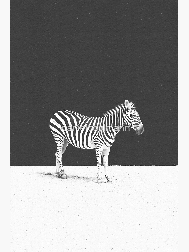 CAMOUFLAGE von danielcoulmann