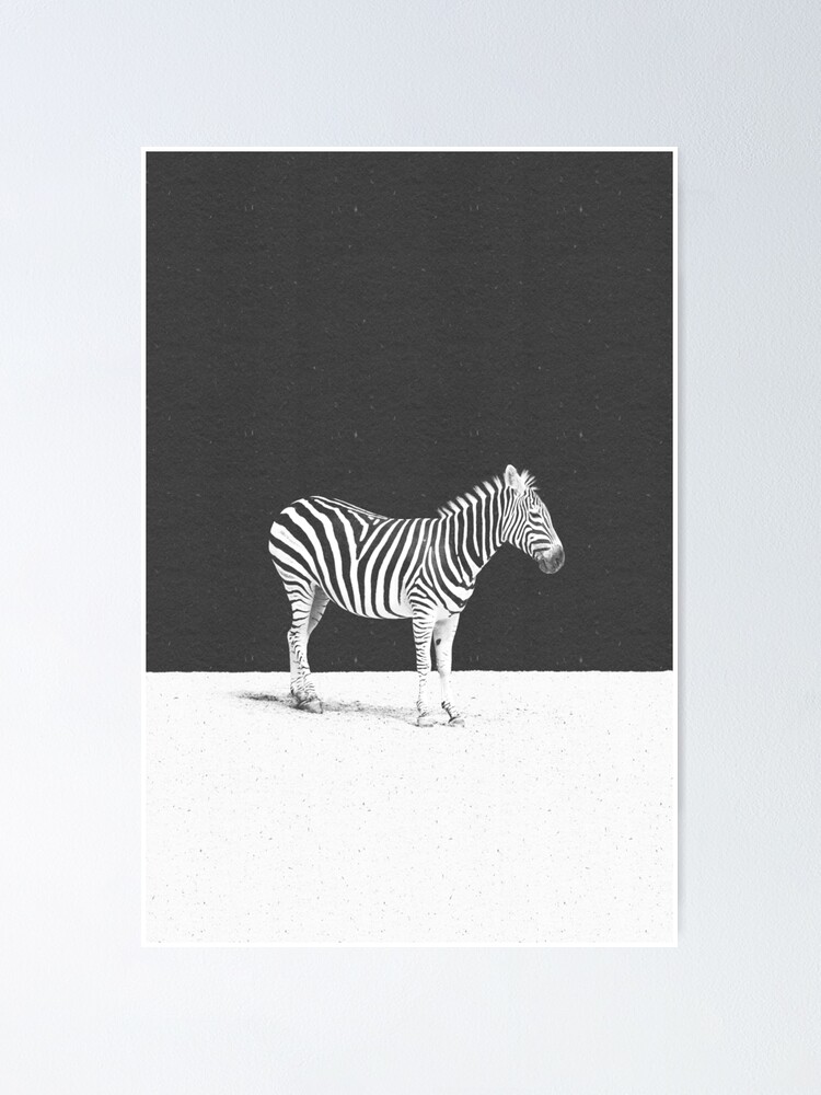 Alternative Ansicht von CAMOUFLAGE Poster