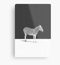 CAMOUFLAGE Metal Print
