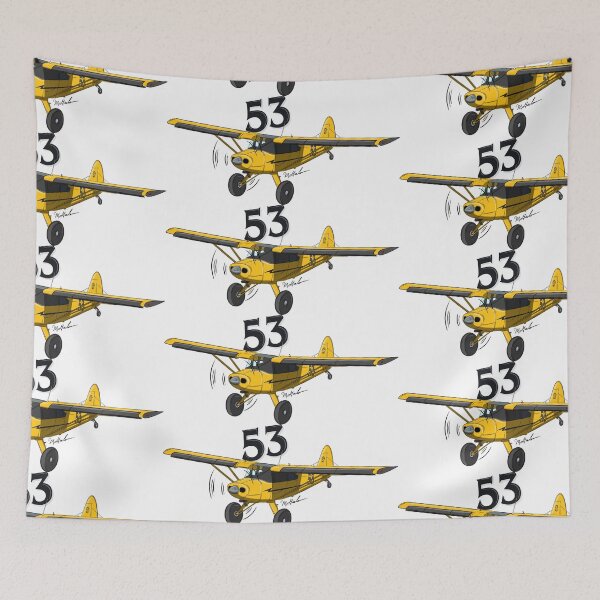 Item preview, Piper Pacer 53 Stol Drag designed and sold by Michael Garber.