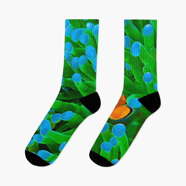 Item preview, Clown Fish Art designed and sold by kamuipreme.