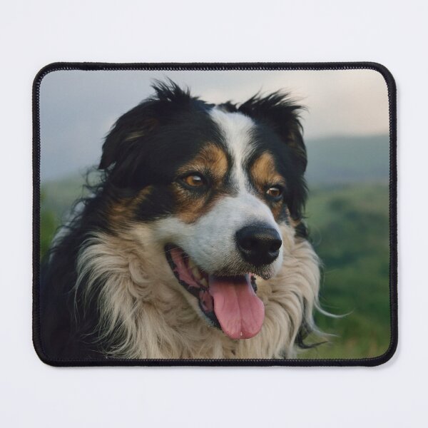 Item preview, Laddie designed and sold by Michael Haslam.