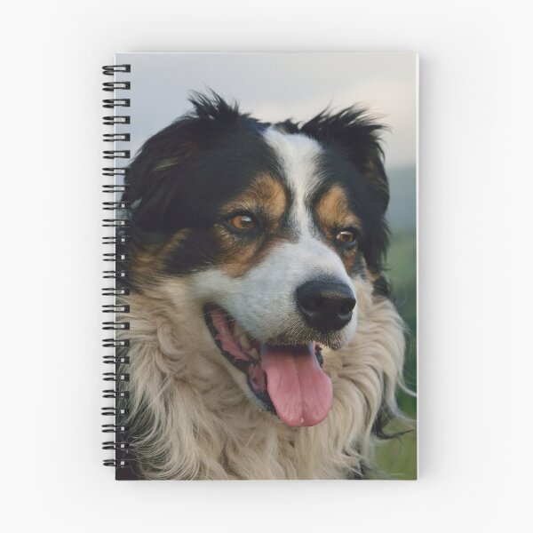 Item preview, Laddie designed and sold by Michael Haslam.