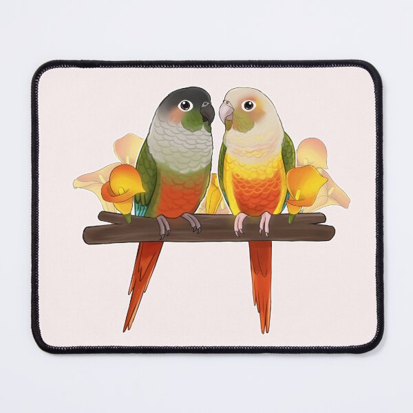 Item preview, Cute Conures designed and sold by meruesan.